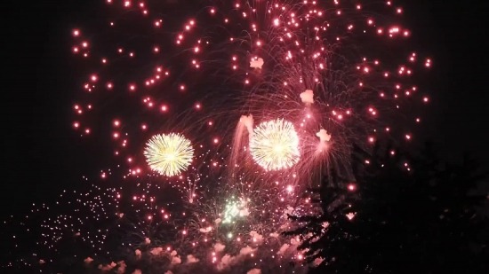 Free 3d Video Background, Firework, Explosive, Night, Celebration, Holiday