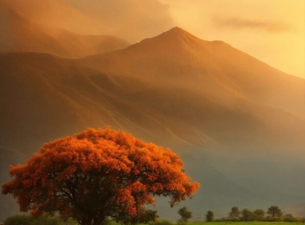 Cloud, Plant, Flower, Sky, Mountain, Ecoregion