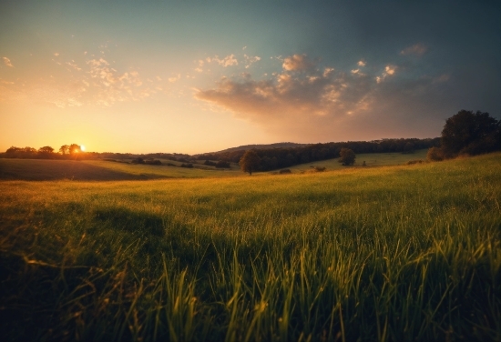 Cloud, Sky, Atmosphere, Natural Landscape, Afterglow, Plant