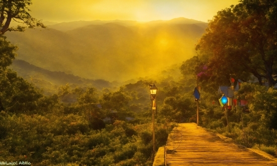 Atmosphere, Cloud, Sky, Ecoregion, Plant, Natural Landscape