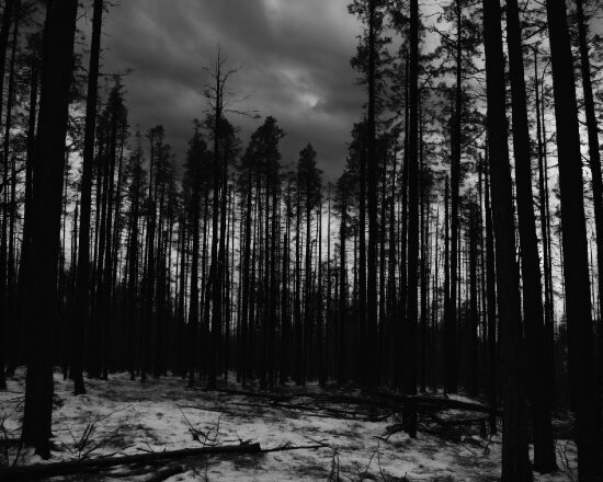 Cloud, Sky, Atmosphere, Natural Environment, Natural Landscape, Wood