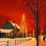 Christmas Tree, Street Light, Nature, Branch, Tree, Snow