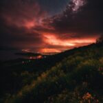 Cloud, Sky, Atmosphere, Plant, Ecoregion, Flower