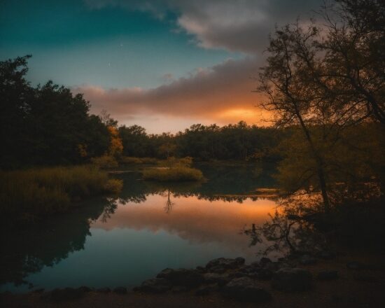 Cloud, Water, Sky, Atmosphere, Plant, Natural Landscape