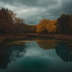 Cloud, Water, Sky, Plant, Natural Landscape, Tree