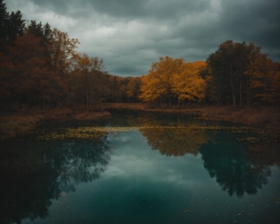 Cloud, Water, Sky, Plant, Natural Landscape, Tree