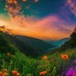 Flower, Cloud, Plant, Sky, Ecoregion, Natural Landscape