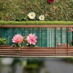 Flower, Water, Plant, Sky, Leaf, Petal