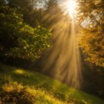 Plant, Sky, Atmosphere, Cloud, Ecoregion, Light