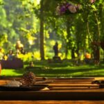 Plant, Wood, Table, Natural Landscape, Tree, Leisure