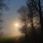 Sky, Atmosphere, Cloud, Plant, Leaf, Natural Landscape