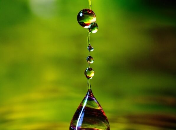 Water, Liquid, Plant, Fluid, Terrestrial Plant, Liquid Bubble