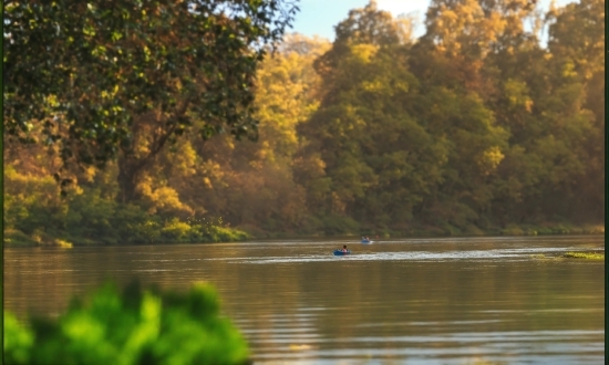 Water, Plant, Sky, Natural Landscape, Lake, Tree