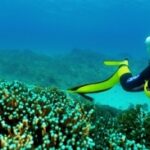 Water, Underwater Diving, Scuba Diving, Diving Equipment, Natural Environment, Fluid