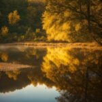 Water, Water Resources, Atmosphere, Sky, Plant, Natural Landscape