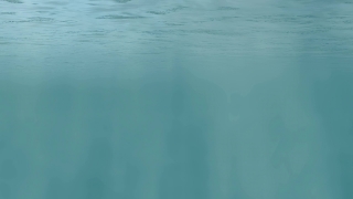 Free Animation Video, Ocean, Sea, Body Of Water, Water, Beach