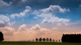 Free Background Loops, Sky, Atmosphere, Meadow, Grass, Field