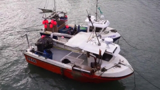 Free Backgrounds In Motion, Boat, Vessel, Craft, Sea, Ship