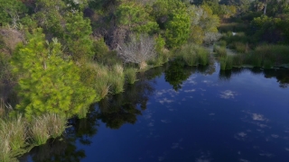 Free Eye Stock Footage, River, Forest, Lake, Landscape, Body Of Water