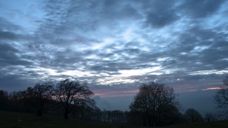 Free Footage Archive, Sky, Atmosphere, Landscape, Tree, Clouds