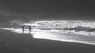 Free Grass Stock Video, Ocean, Beach, Sea, Water, Landscape