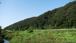 Free Green Screen Stock Footage, Landscape, Knoll, Tree, Mound, Mountain