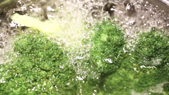 Free No Copyright Footage Video, Broccoli, Vegetable, Produce, Food, Plant