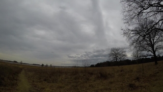 Free Particles Stock Video, Sky, Atmosphere, Landscape, Field, Tree