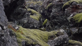 Free Sea Stock Footage, Mountain, Rock, Landscape, Water, Stone