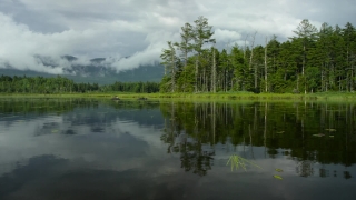 Free Slow Motion Stock Video, Lake, Forest, Landscape, Tree, Reflection