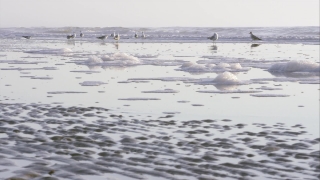 Free Stadium Stock Footage, Ocean, Body Of Water, Sea, Water, Shoreline