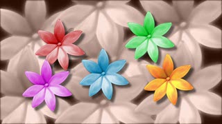 Free Stock Hd Footage, Island, Decoration, Flower, Ribbon, Bow