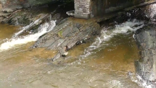 Free Stock Video Clips, Water, River, Channel, Rock, Stream