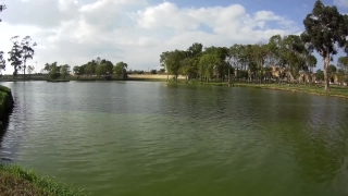 Free Video As Background, Lake, Lakeside, Shore, Water, Landscape