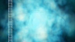 Free Video Background Clips, Light, Design, Ice, Digital, Fractal