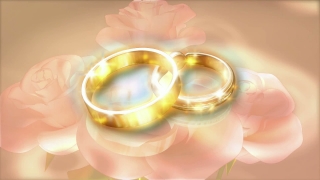 Free Video Background Music Download, Bride, Glass, Bangle, Gem, Gold