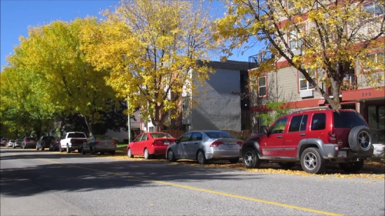 Free Video Backgrounds Hd, Road, Car, Sidewalk, Tree, Landscape