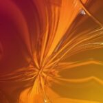 Free Video Backgrounds Loops, Design, Fractal, Digital, Light, Fantasy