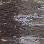 Free Video Stock Library, Maze, Water, Liquid, Rain, Drop