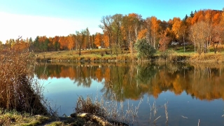 Free Videos For Commercial Use, Lake, Landscape, Reflection, Water, Forest