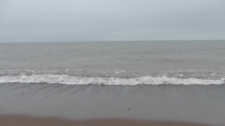 Free Vr Stock Footage, Ocean, Beach, Body Of Water, Sea, Sand