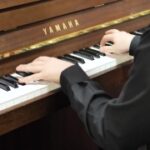 Free  Websites To Download Video Clips, Musical Instrument, Electric Organ, Electronic Instrument, Piano, Music