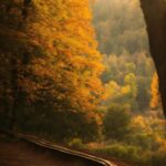 Atmosphere, Sky, Ecoregion, Natural Landscape, Wood, Twig