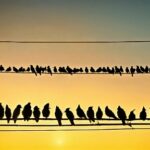 Bird, Sky, Afterglow, Morning, Horizon, Sunset