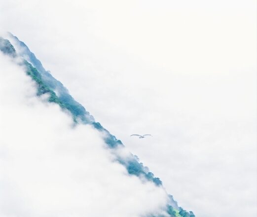 Cloud, Plant, Aircraft, Slope, Airplane, Sky