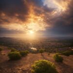 Coohom, Cloud, Sky, Plant, Atmosphere, Ecoregion