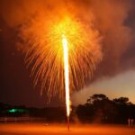 Dadaism Poster, Atmosphere, Fireworks, Sky, Light, Tree