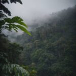 Dall E Create, Sky, Cloud, Plant, Mountain, Natural Landscape