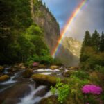 Free Food Stock Videos, Rainbow, Water, Plant, Sky, Ecoregion