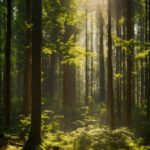 Plant, Atmosphere, Natural Landscape, Wood, Branch, Trunk